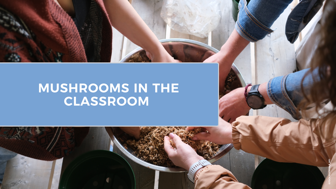 Mushrooms in the Classroom - Three Simple Activities for Middle School Mycologists