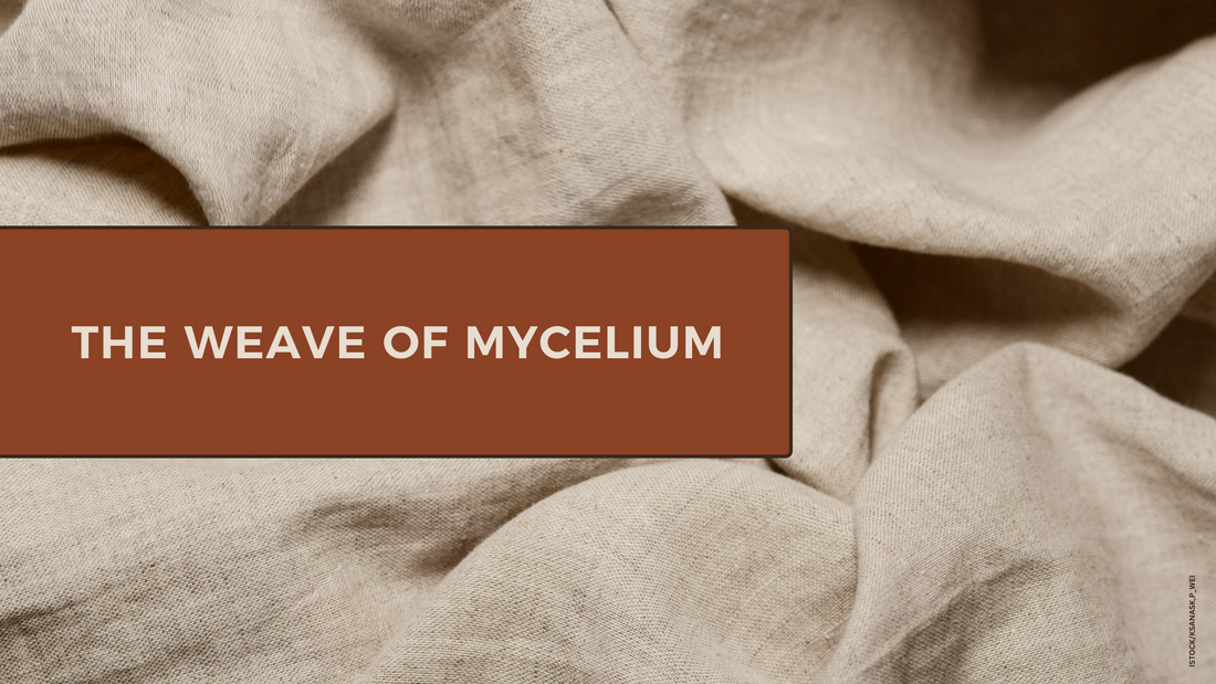 The Weave of Mycelium: Exploring Sustainable Materials Through Upcycled Fabric