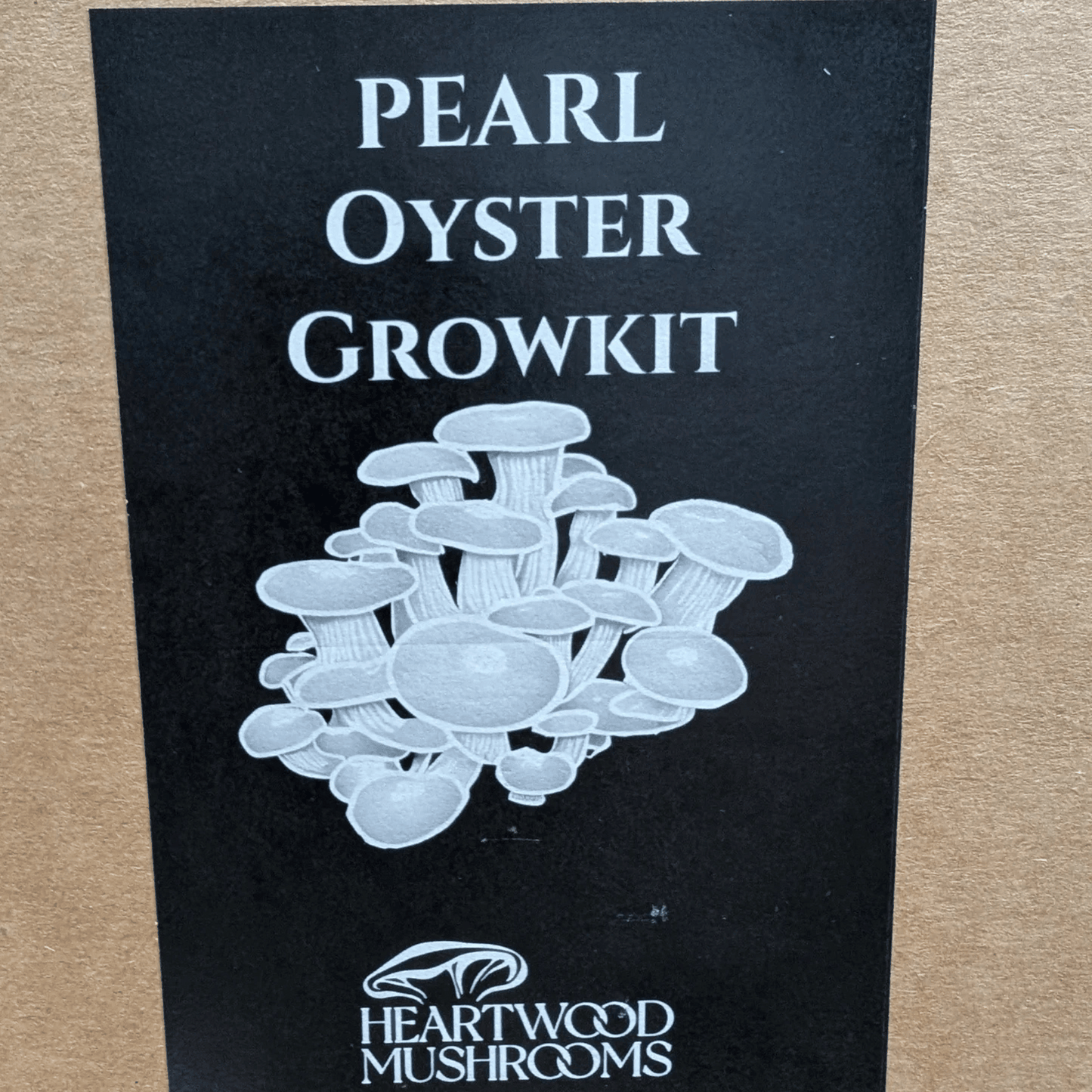 Pearl Oyster Mushroom Grow Kit