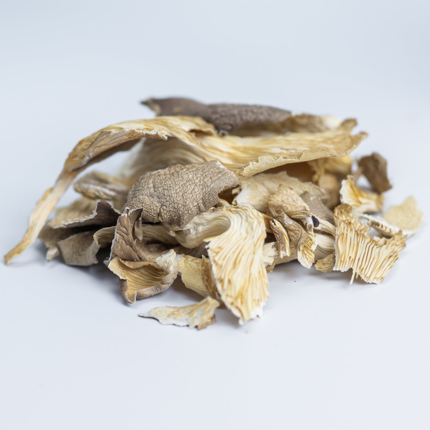 Oyster Mushroom Whole Dried