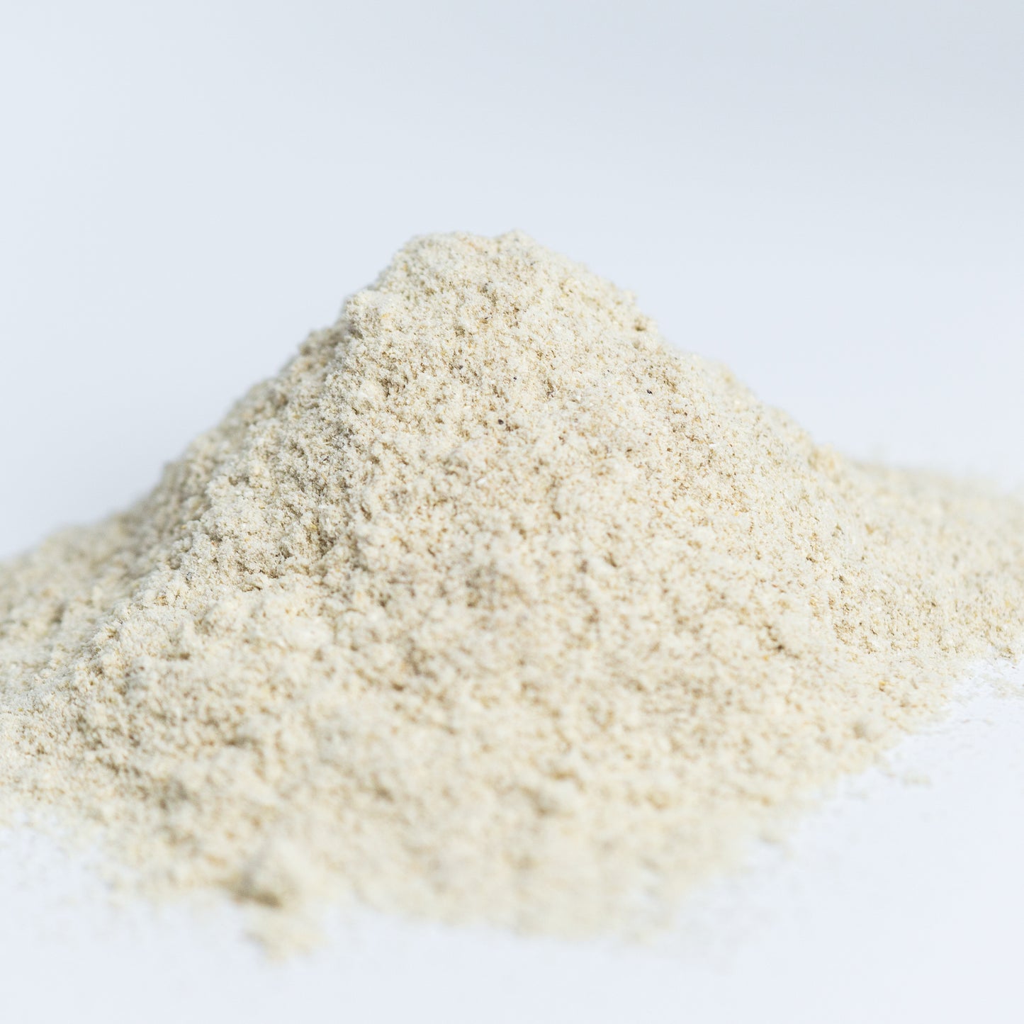 Oyster Mushroom Powder