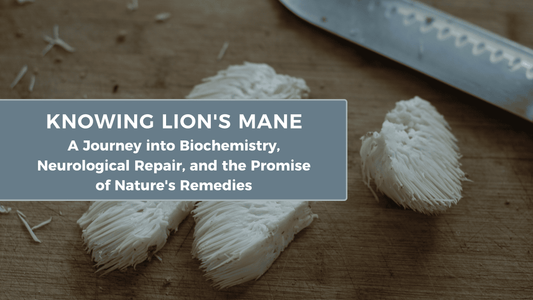 Knowing Lion's Mane: A Journey into Biochemistry, Neurological Repair, and the Promise of Nature's Remedies