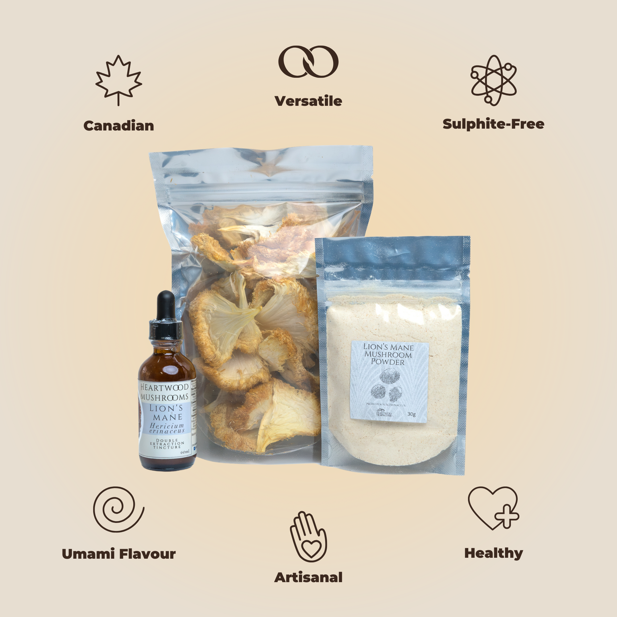 Lion's Mane Lover's Bundle