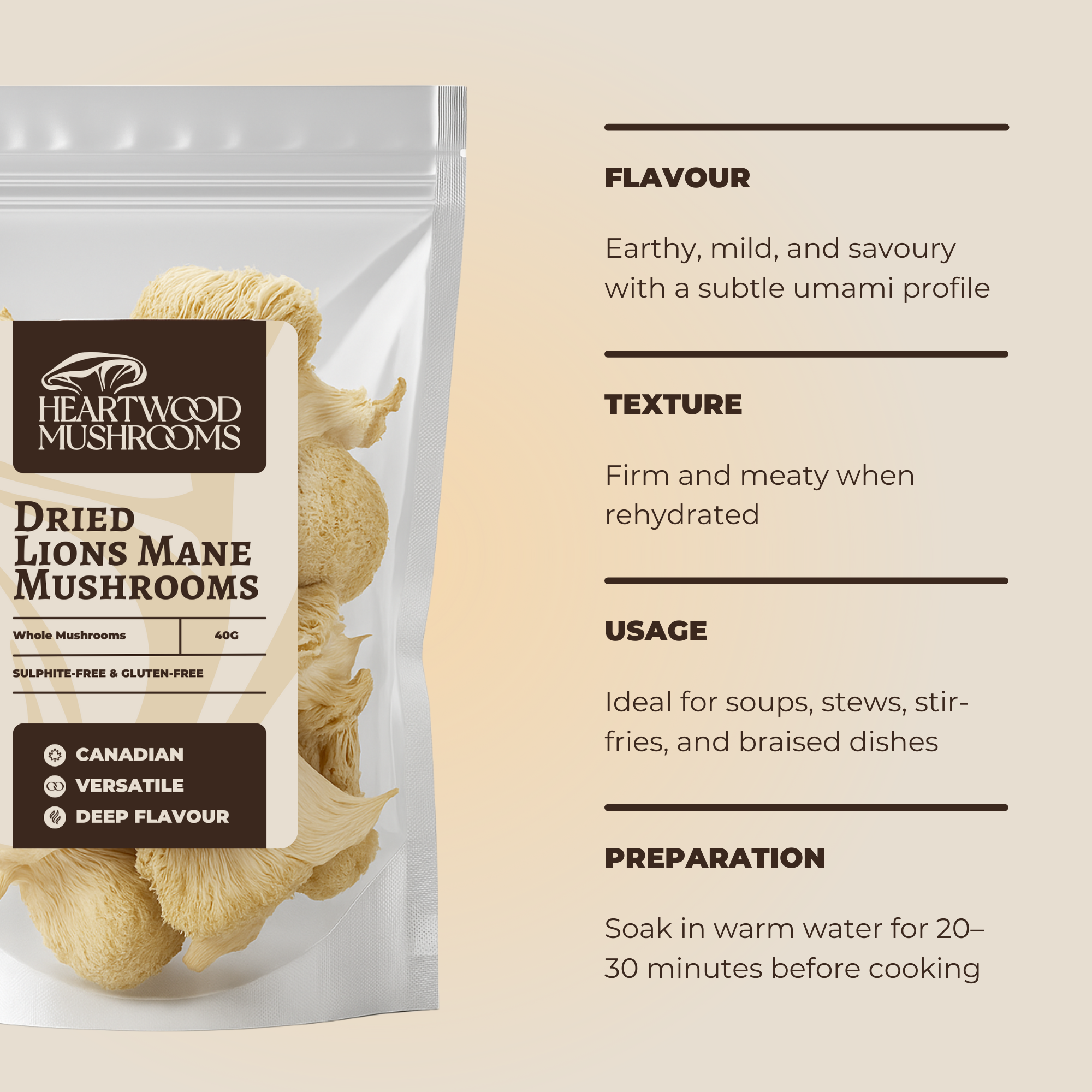 Lion's Mane Lover's Bundle