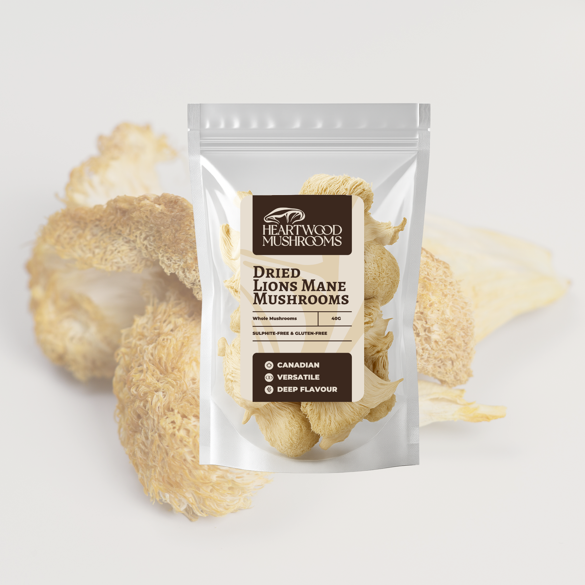 Lion's Mane Lover's Bundle
