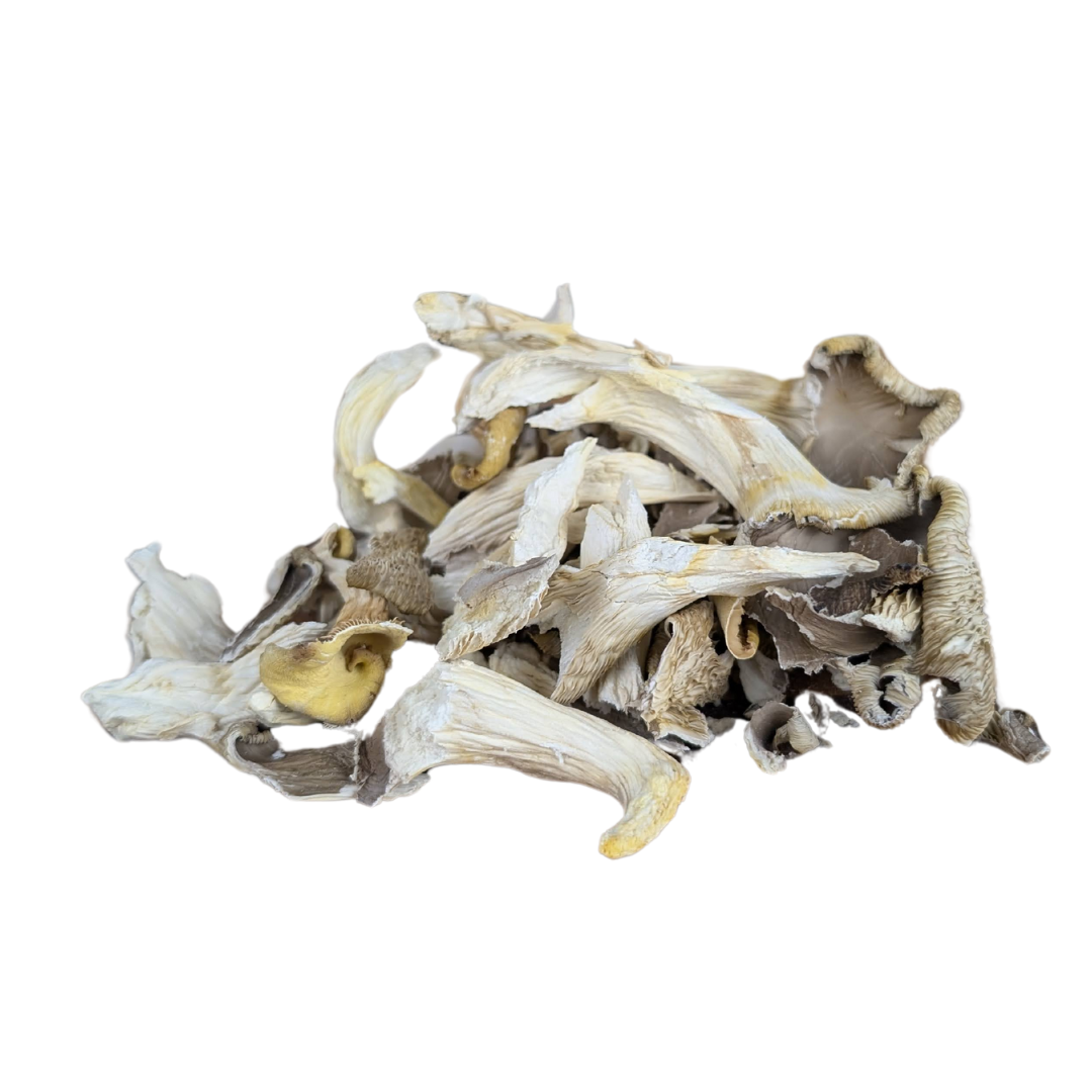 Dried Oyster Mushroom 40g