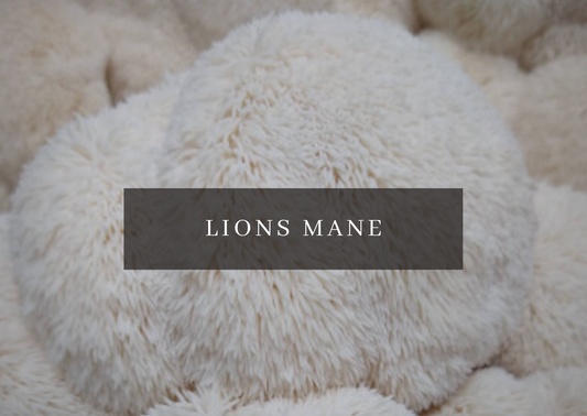 Lion's Mane Grow Kit