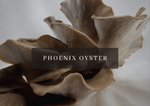 Load image into Gallery viewer, Mushroom Grow Kit - Phoenix Oyster
